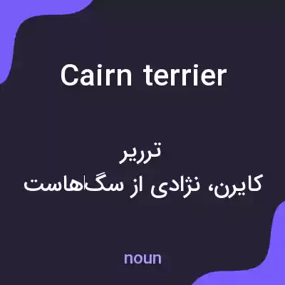 معنی cairn terrier به فارسی معنی cairn terrier به فارسی