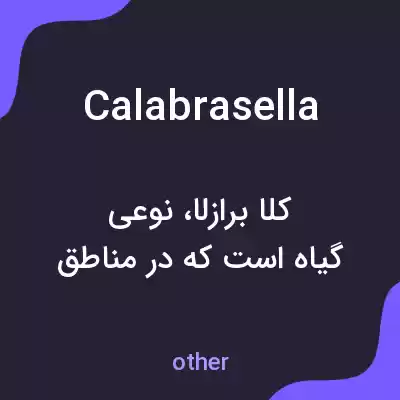 معنی calabrasella به فارسی معنی calabrasella به فارسی
