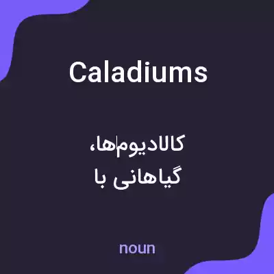 معنی caladiums به فارسی معنی caladiums به فارسی
