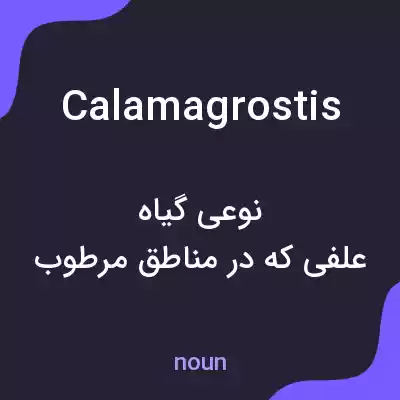 معنی calamagrostis به فارسی معنی calamagrostis به فارسی