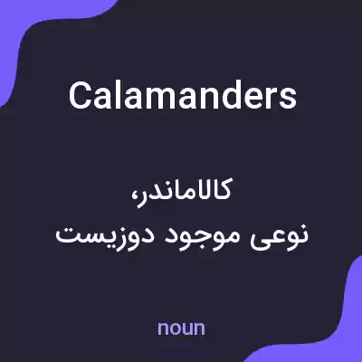 معنی calamanders به فارسی معنی calamanders به فارسی