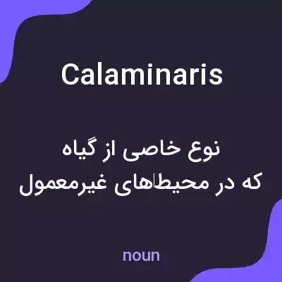 معنی calaminaris به فارسی معنی calaminaris به فارسی