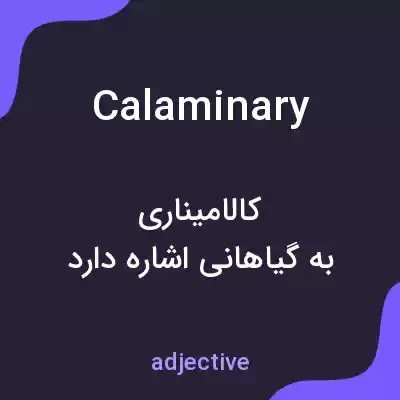 معنی calaminary به فارسی معنی calaminary به فارسی