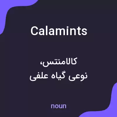 معنی calamints به فارسی معنی calamints به فارسی