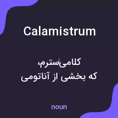 معنی calamistrum به فارسی معنی calamistrum به فارسی
