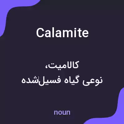 معنی calamite به فارسی معنی calamite به فارسی