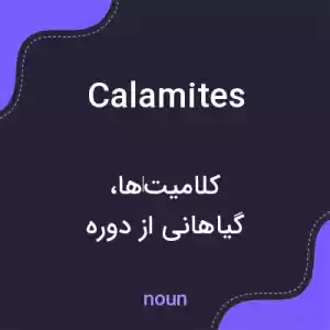 معنی calamites به فارسی معنی calamites به فارسی