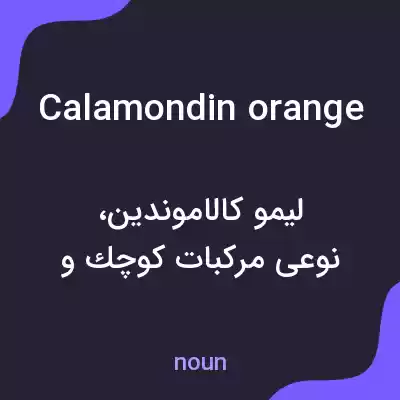 معنی calamondin orange به فارسی معنی calamondin orange به فارسی