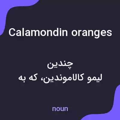 معنی calamondin oranges به فارسی معنی calamondin oranges به فارسی