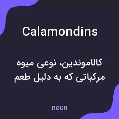 معنی calamondins به فارسی معنی calamondins به فارسی