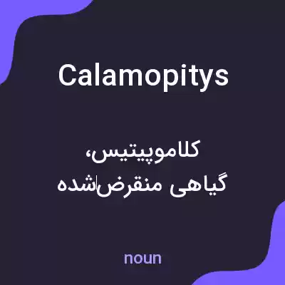 معنی calamopitys به فارسی معنی calamopitys به فارسی