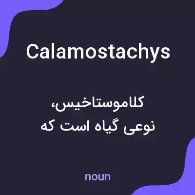 معنی calamostachys به فارسی معنی calamostachys به فارسی