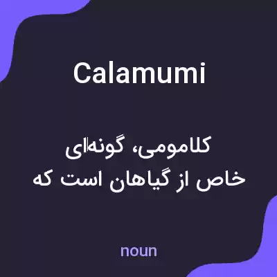 معنی calamumi به فارسی معنی calamumi به فارسی