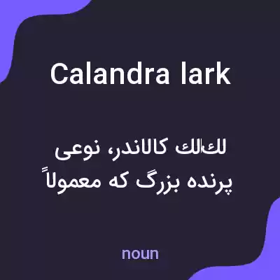 معنی calandra lark به فارسی معنی calandra lark به فارسی