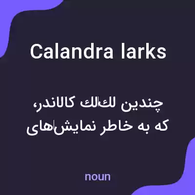 معنی calandra larks به فارسی معنی calandra larks به فارسی