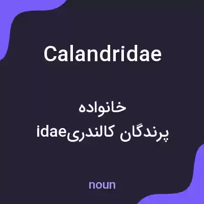 معنی calandridae به فارسی معنی calandridae به فارسی