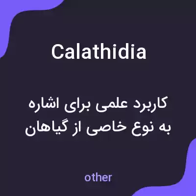 معنی calathidia به فارسی معنی calathidia به فارسی