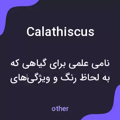 معنی calathiscus به فارسی معنی calathiscus به فارسی