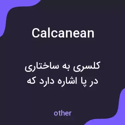 معنی calcanean به فارسی معنی calcanean به فارسی