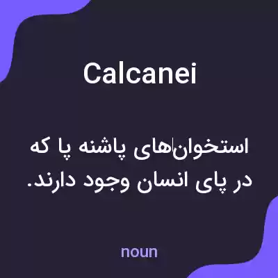 معنی calcanei به فارسی معنی calcanei به فارسی