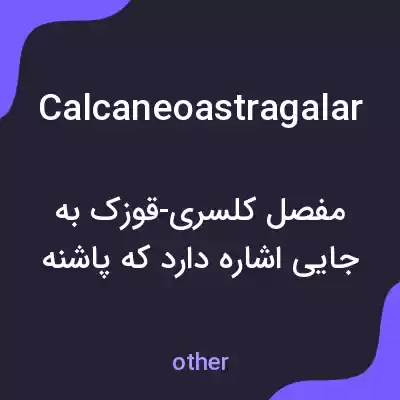 معنی calcaneoastragalar به فارسی معنی calcaneoastragalar به فارسی