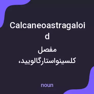 معنی calcaneoastragaloid به فارسی معنی calcaneoastragaloid به فارسی