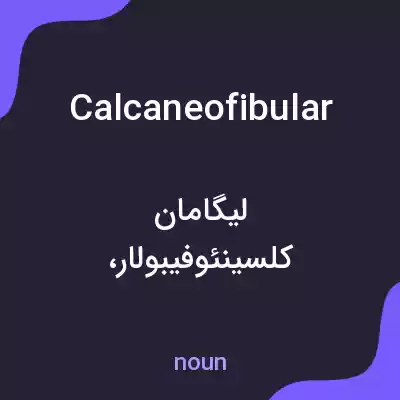 معنی calcaneofibular به فارسی معنی calcaneofibular به فارسی