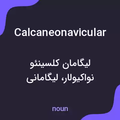 معنی calcaneonavicular به فارسی معنی calcaneonavicular به فارسی