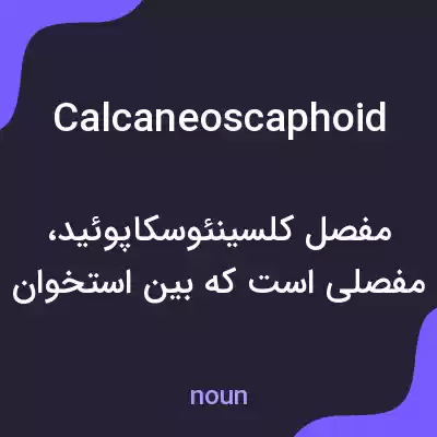 معنی calcaneoscaphoid به فارسی معنی calcaneoscaphoid به فارسی