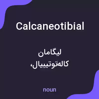 معنی calcaneotibial به فارسی معنی calcaneotibial به فارسی