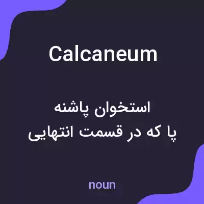 معنی calcaneum به فارسی معنی calcaneum به فارسی