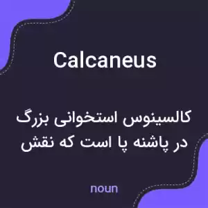 معنی calcaneus به فارسی معنی calcaneus به فارسی