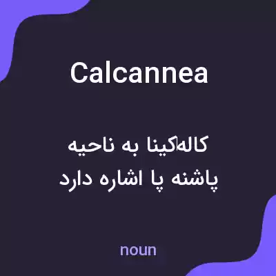 معنی calcannea به فارسی معنی calcannea به فارسی