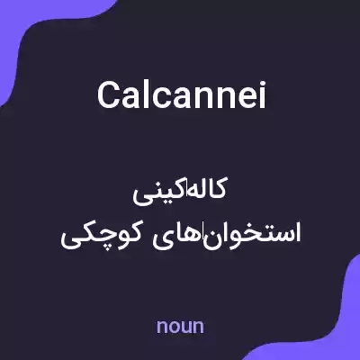 معنی calcannei به فارسی معنی calcannei به فارسی