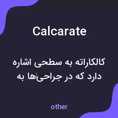 معنی calcarate به فارسی معنی calcarate به فارسی