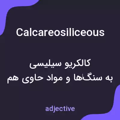 معنی calcareosiliceous به فارسی معنی calcareosiliceous به فارسی
