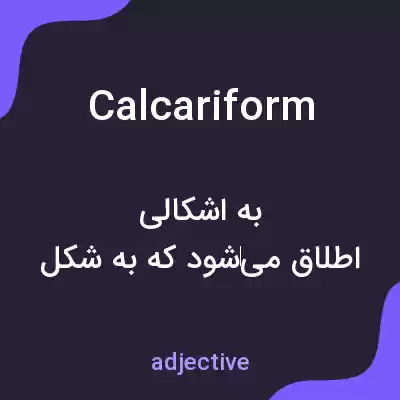معنی calcariform به فارسی معنی calcariform به فارسی