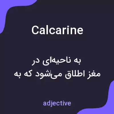 معنی calcarine به فارسی معنی calcarine به فارسی
