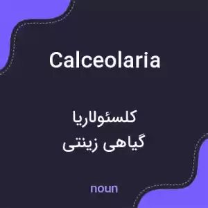 معنی calceolaria به فارسی معنی calceolaria به فارسی