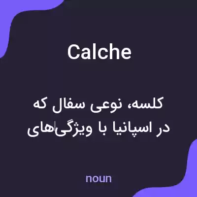 معنی calche به فارسی معنی calche به فارسی