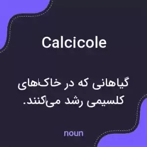 معنی calcicole به فارسی معنی calcicole به فارسی