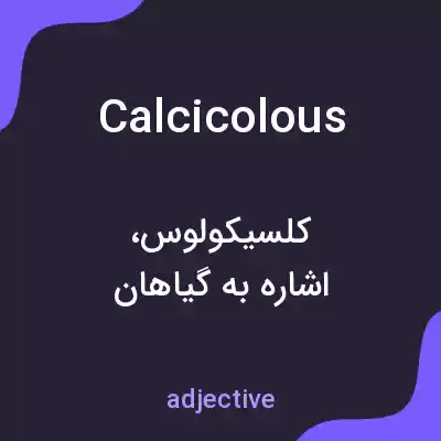 معنی calcicolous به فارسی معنی calcicolous به فارسی