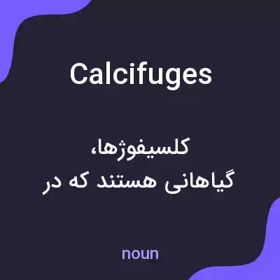 معنی calcifuges به فارسی معنی calcifuges به فارسی