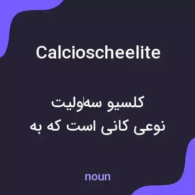 معنی calcioscheelite به فارسی معنی calcioscheelite به فارسی