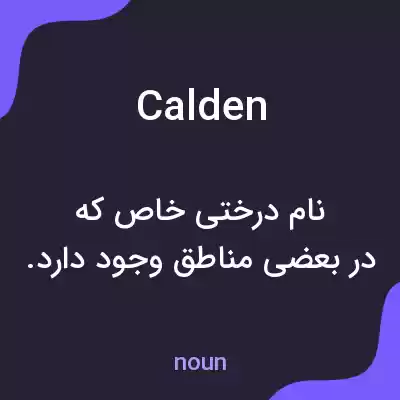 معنی calden به فارسی معنی calden به فارسی