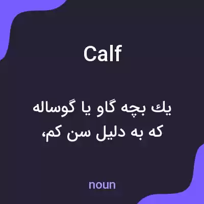 معنی calf به فارسی معنی calf به فارسی