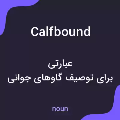 معنی calfbound به فارسی معنی calfbound به فارسی