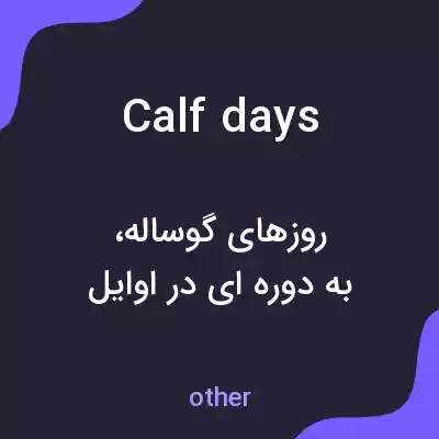 معنی calf days به فارسی معنی calf days به فارسی