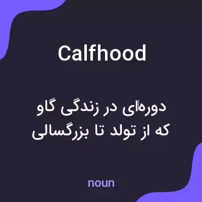 معنی calfhood به فارسی معنی calfhood به فارسی