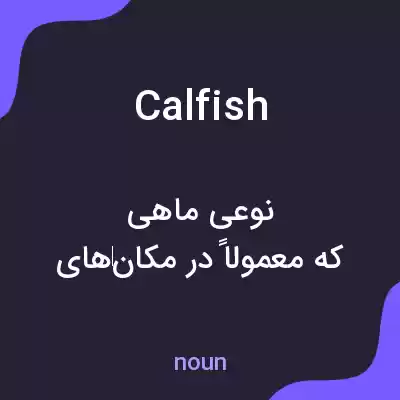 معنی calfish به فارسی معنی calfish به فارسی